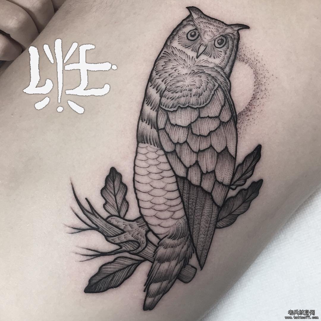手臂黑灰猫头鹰文身