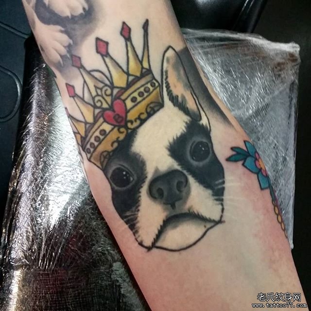 小臂狗狗王冠纹身图案