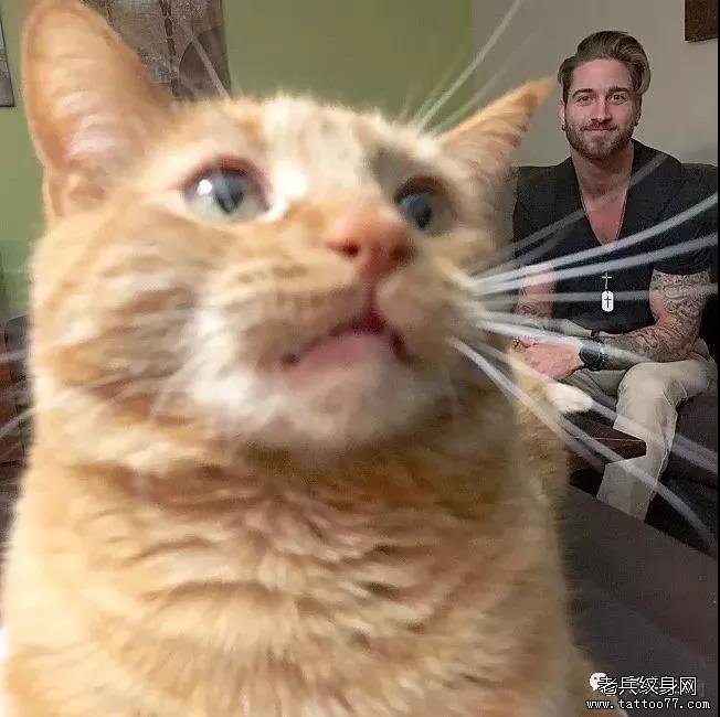 男模 腹肌 爱猫人设，这样的男神谁能抵抗的了？