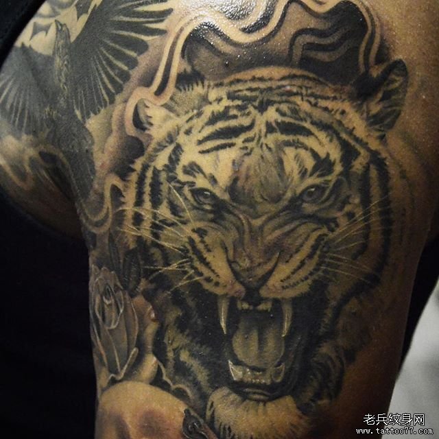 大臂写实老虎纹身图案