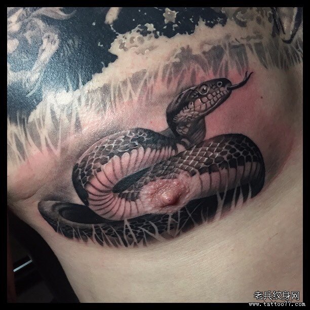 胸部写实蛇纹身图案