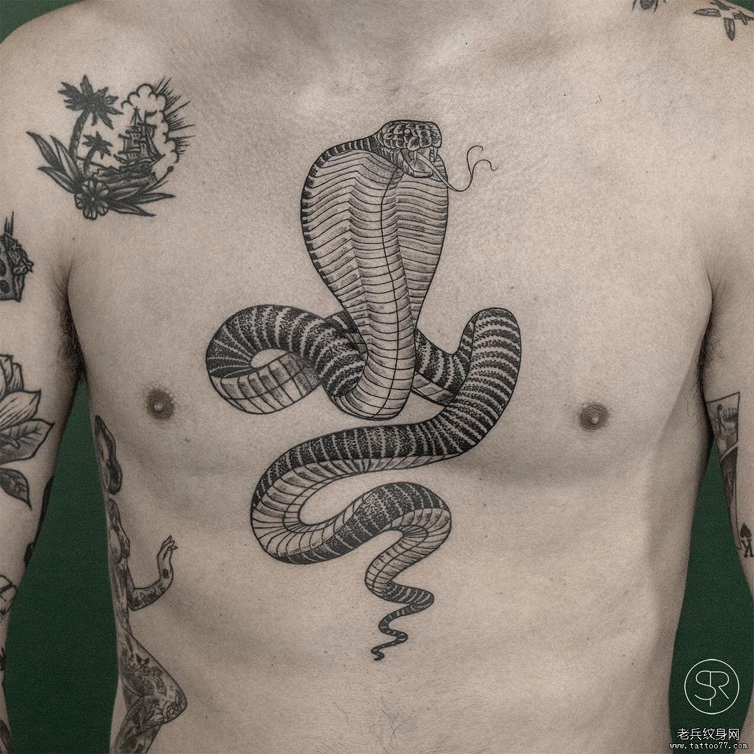 黑灰线条眼镜蛇tattoo