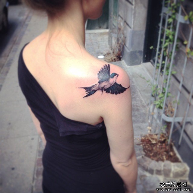 肩胛写实燕子纹身图案