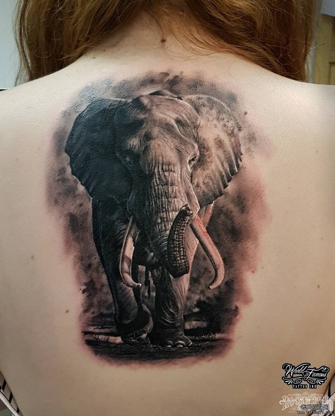 背部写实大象纹身图案