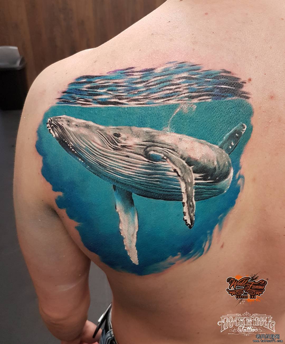 背部写实鲸鱼纹身图案