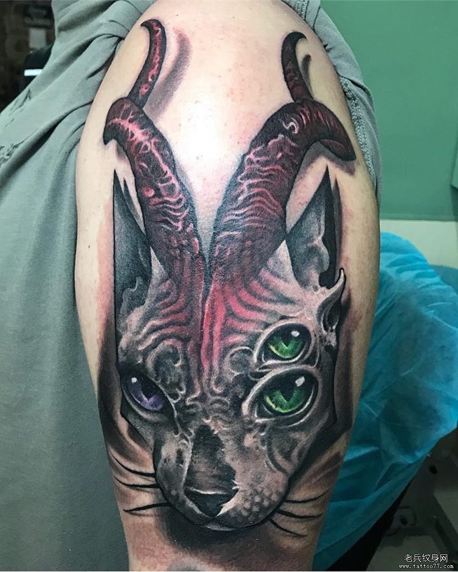 羊角猫怪物