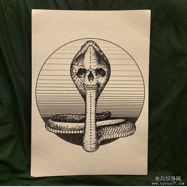 几何骷髅蛇纹身手稿