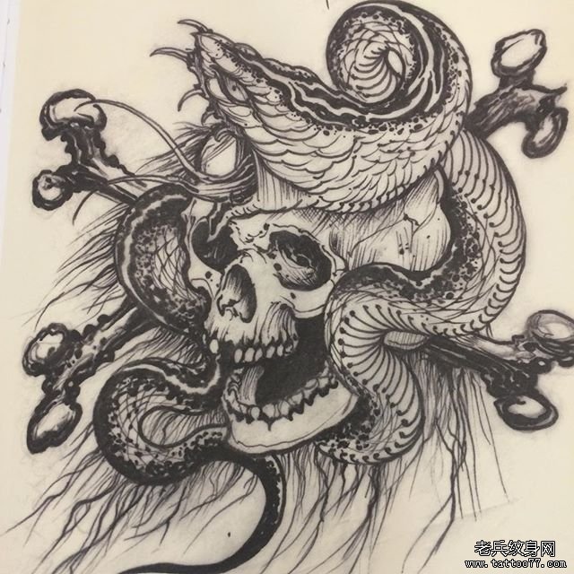 骷髅蛇纹身手稿