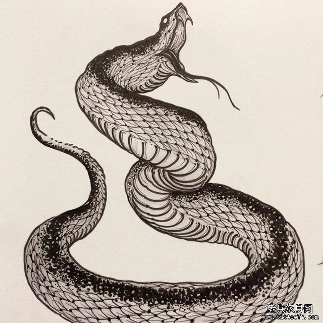 蛇纹身手稿