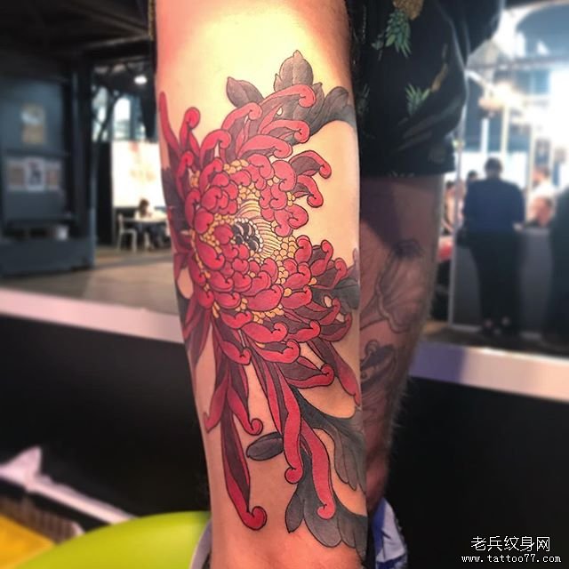 小腿新传统菊花纹身图案
