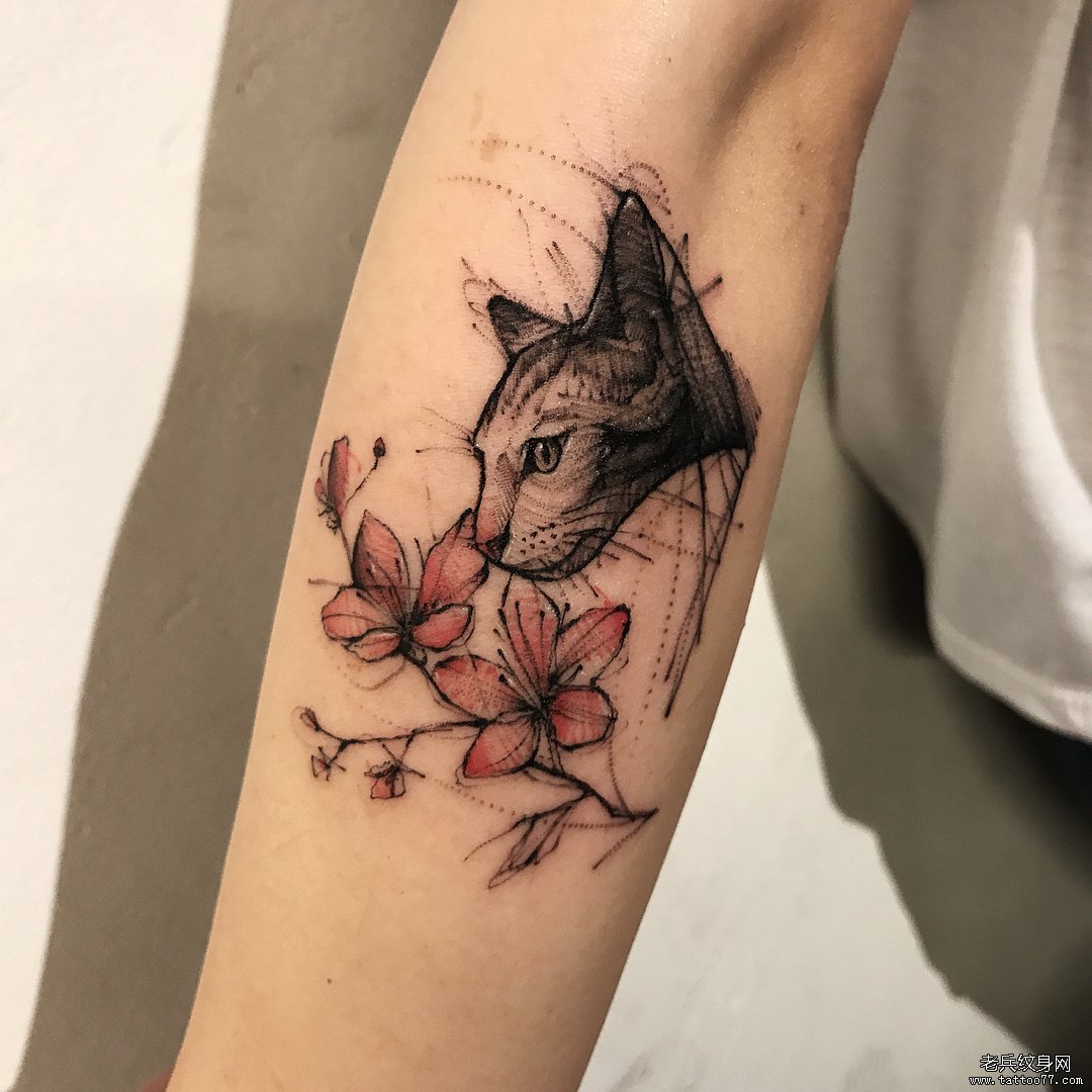 猫 桃花 彩色纹身
