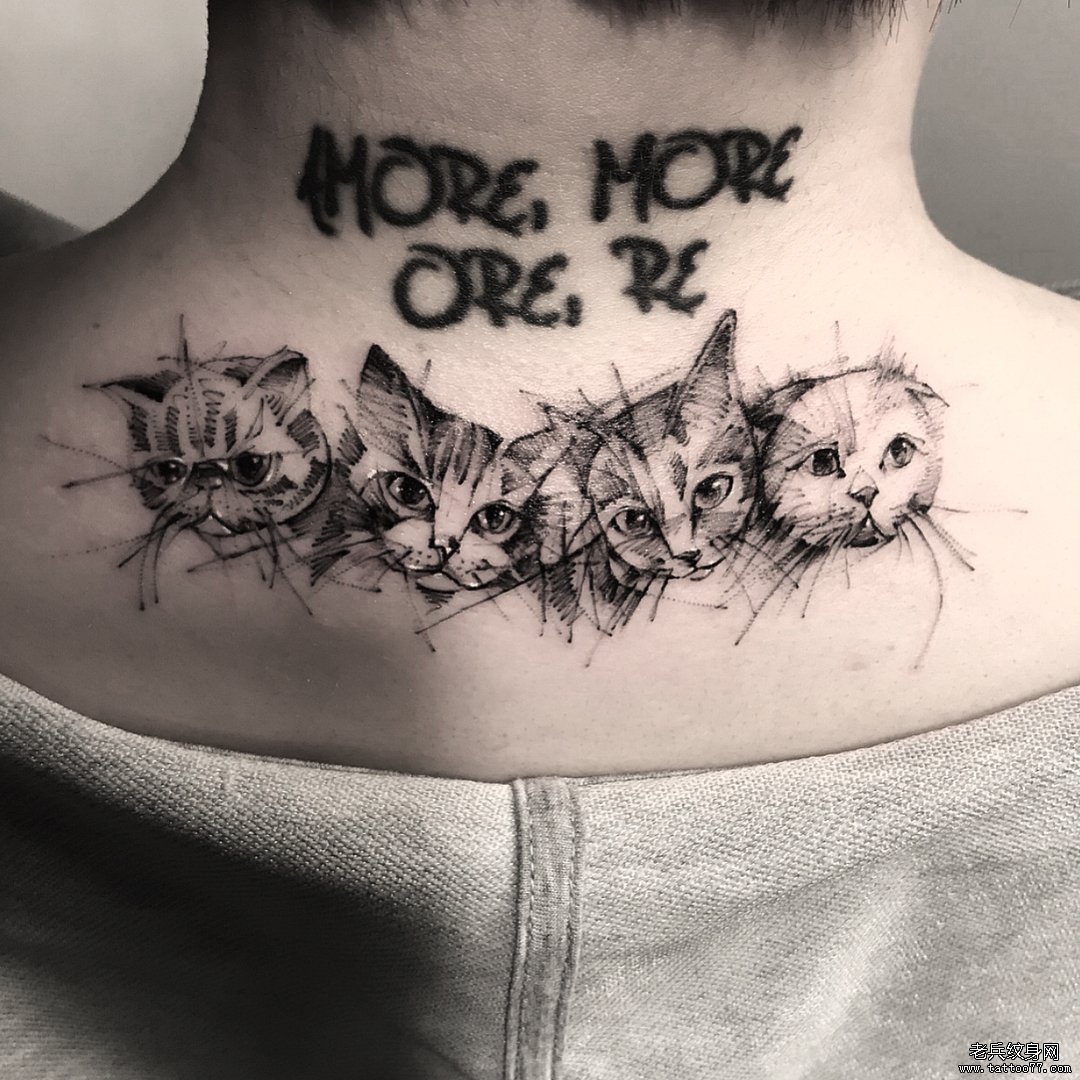 猫咪 飘针 黑灰纹身