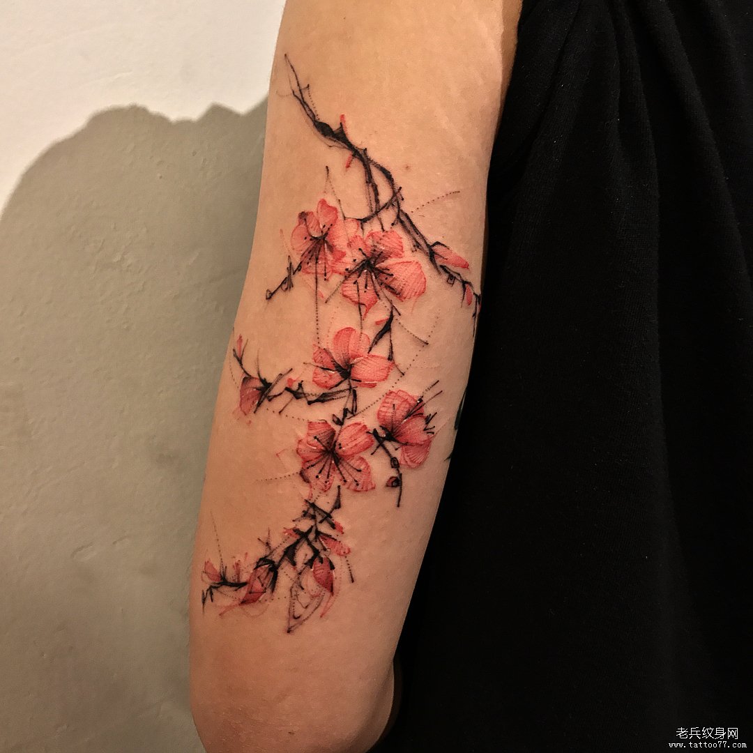 手臂 梅花 彩色纹身