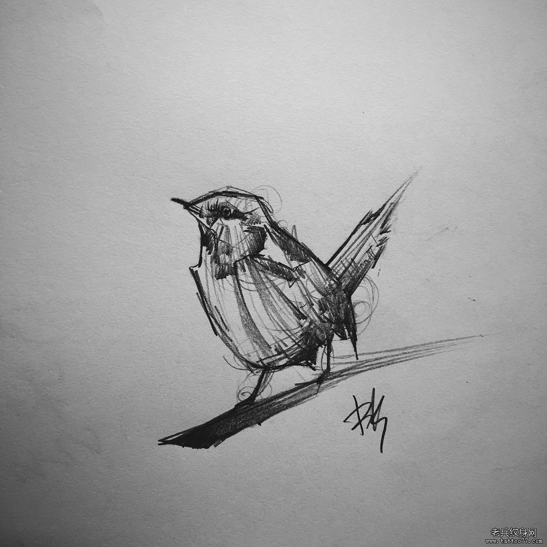 小鸟 手稿 纹身