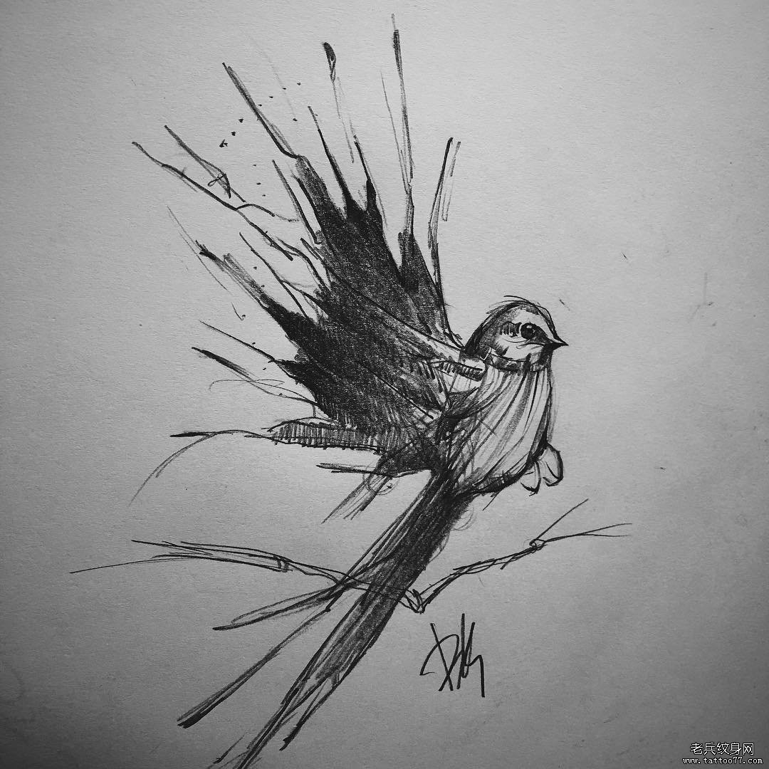 小鸟 纹身手稿