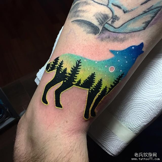 手臂个性彩色森林狼纹身图案