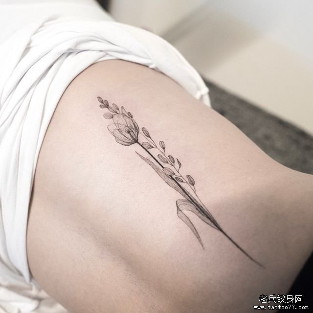 侧腰 花卉 黑灰文身