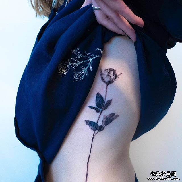 侧腰 玫瑰花 黑灰纹身
