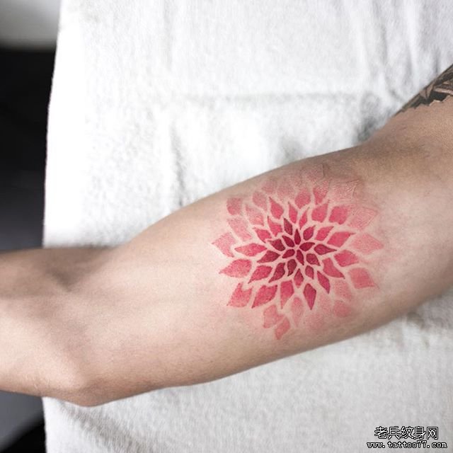 梵花 彩色 手臂纹身