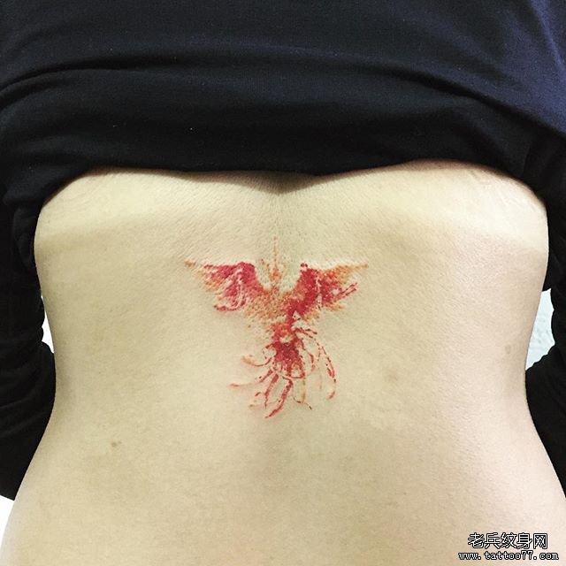 凤凰 彩色文身