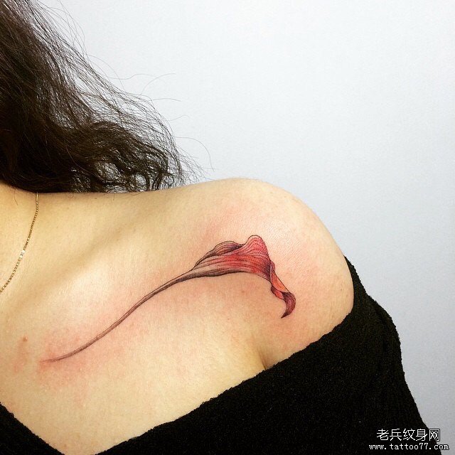 红掌 花卉 彩色文身