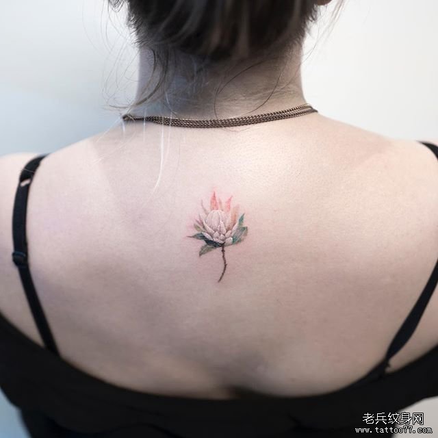 后背 花 彩色tattoo