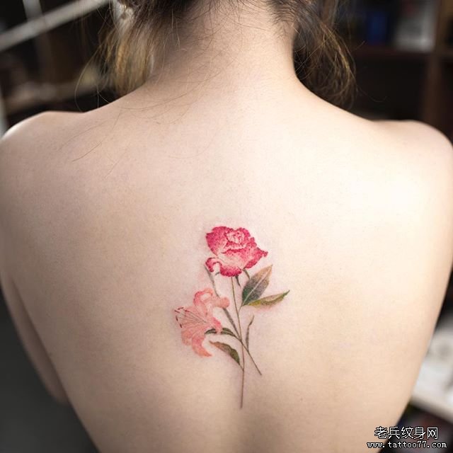 后背 花卉 彩色纹身