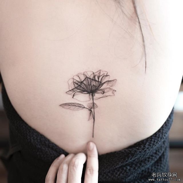 后背 玫瑰花纹身