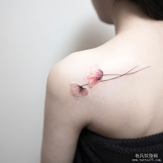 后肩 花卉 彩色纹身