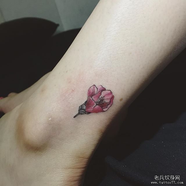 花卉 脚踝 彩色纹身