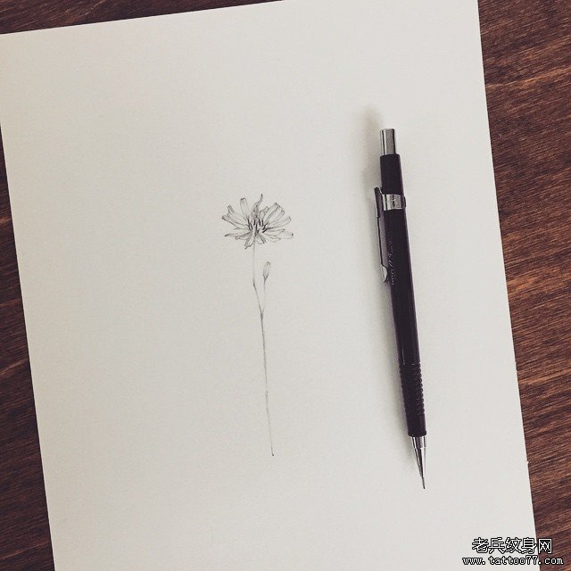 花卉文身 手稿