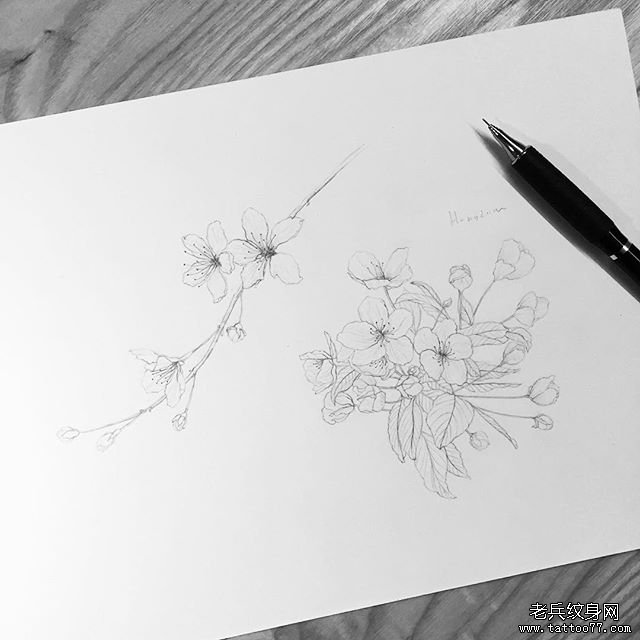 花卉文身 手稿