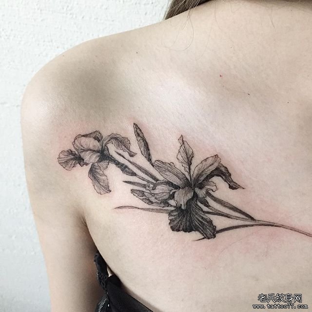 花卉 锁骨 黑灰文身