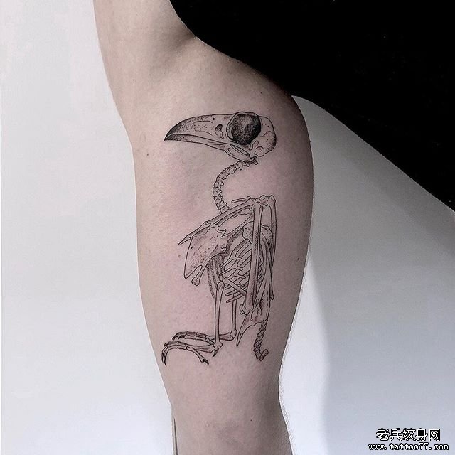 手臂个性内侧鸟纹身