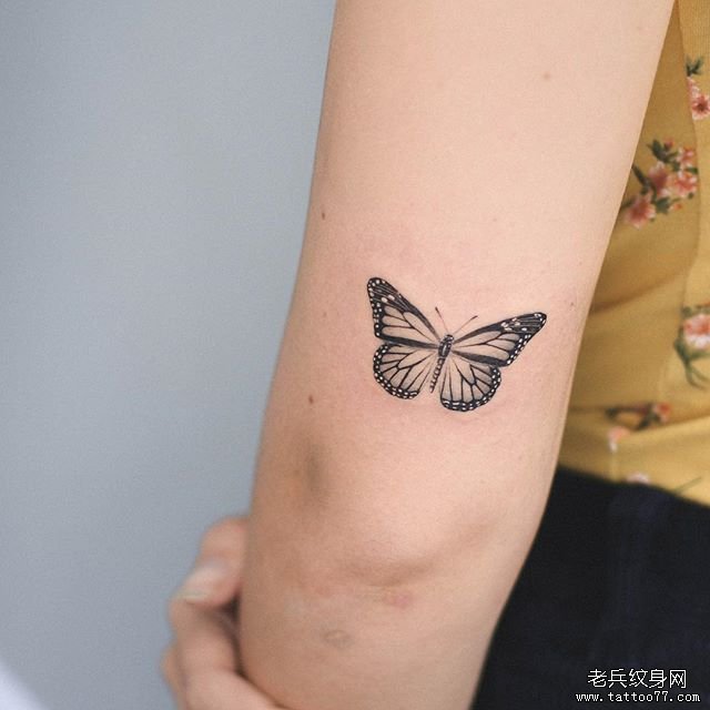 黑灰蝴蝶小清新纹身