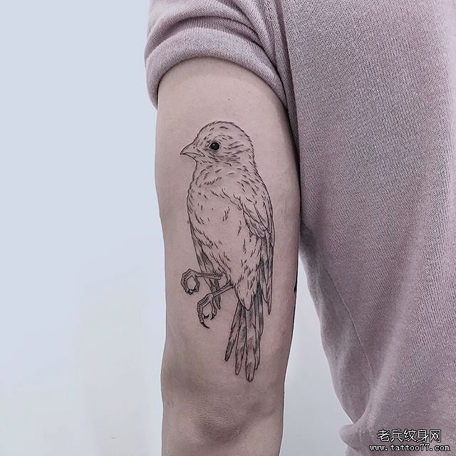 手臂简约鸟