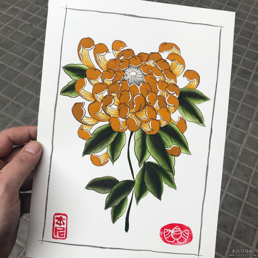 菊花纹身手稿