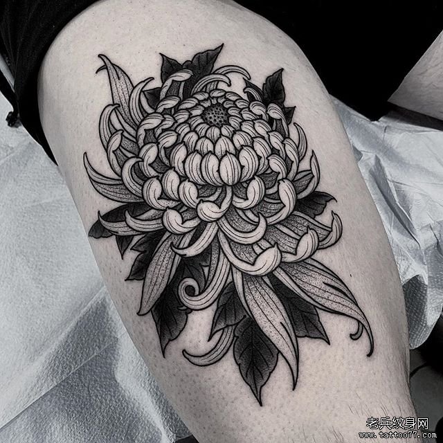 菊花