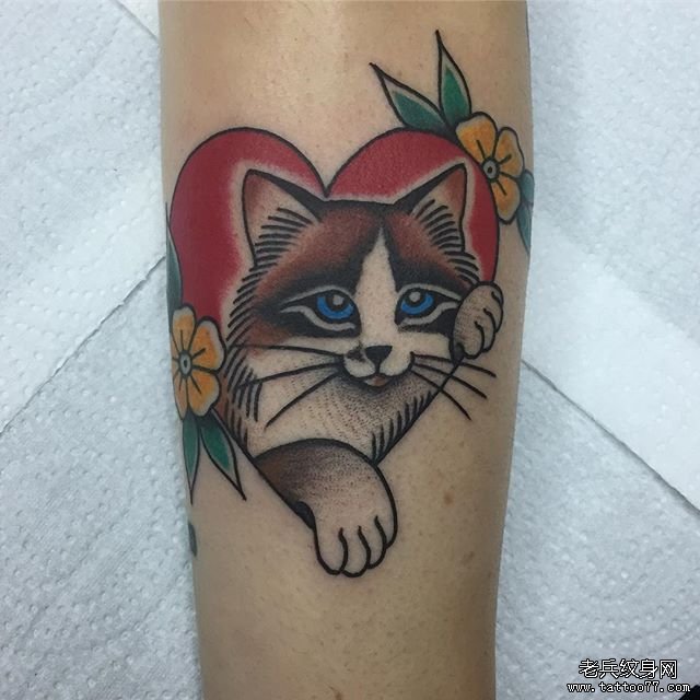猫  爱心