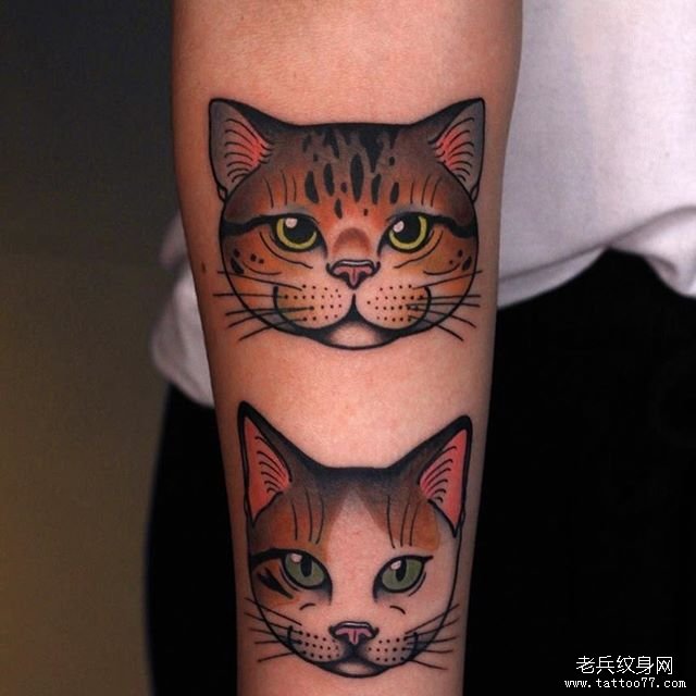 色彩猫咪纹身