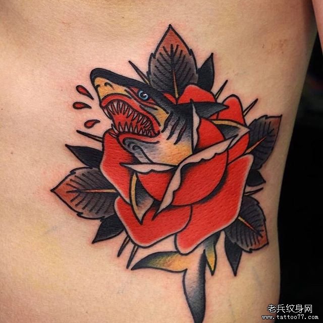 玫瑰鲨鱼纹身图案