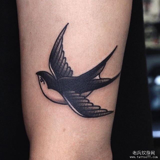 黑灰燕子纹身