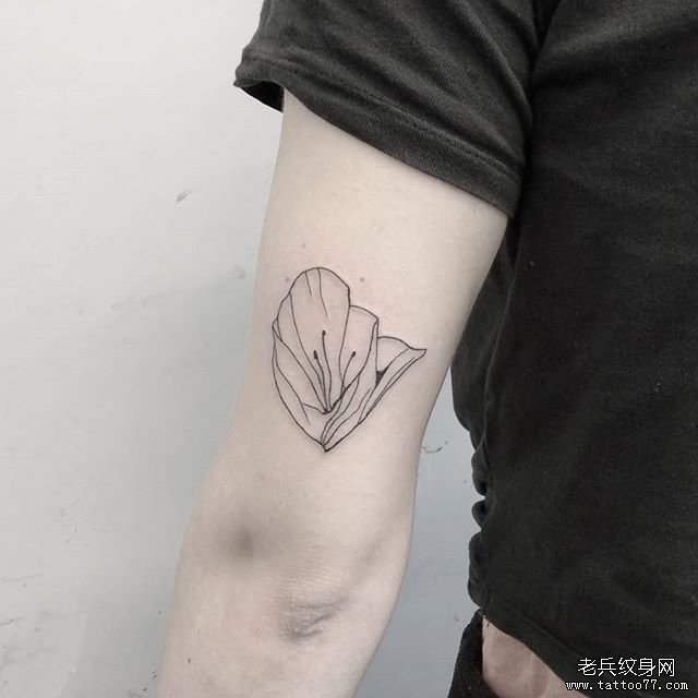手臂线条简约花卉纹身