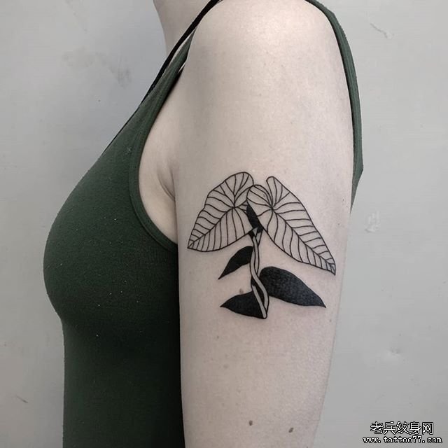 手臂简约花草纹身图案
