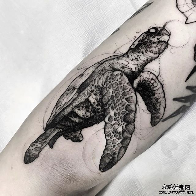 黑灰海龟纹身