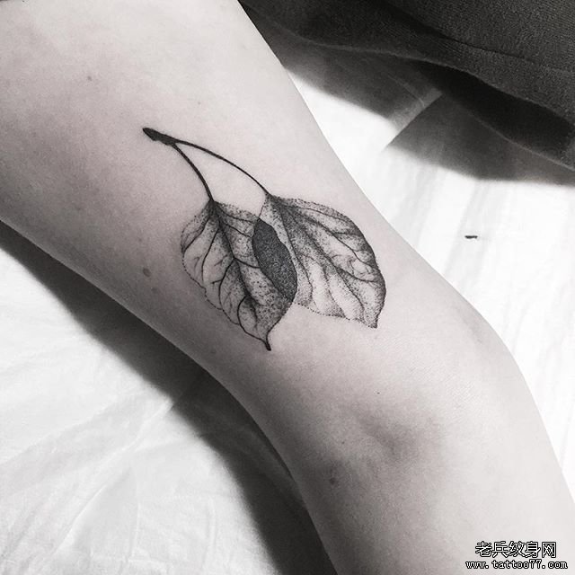 手臂黑灰简约叶子纹身