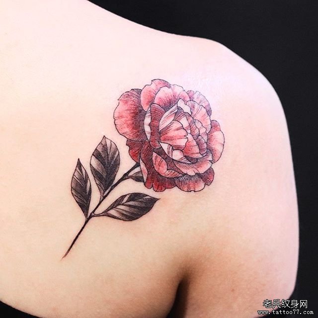 肩胛彩色玫瑰花纹身图案