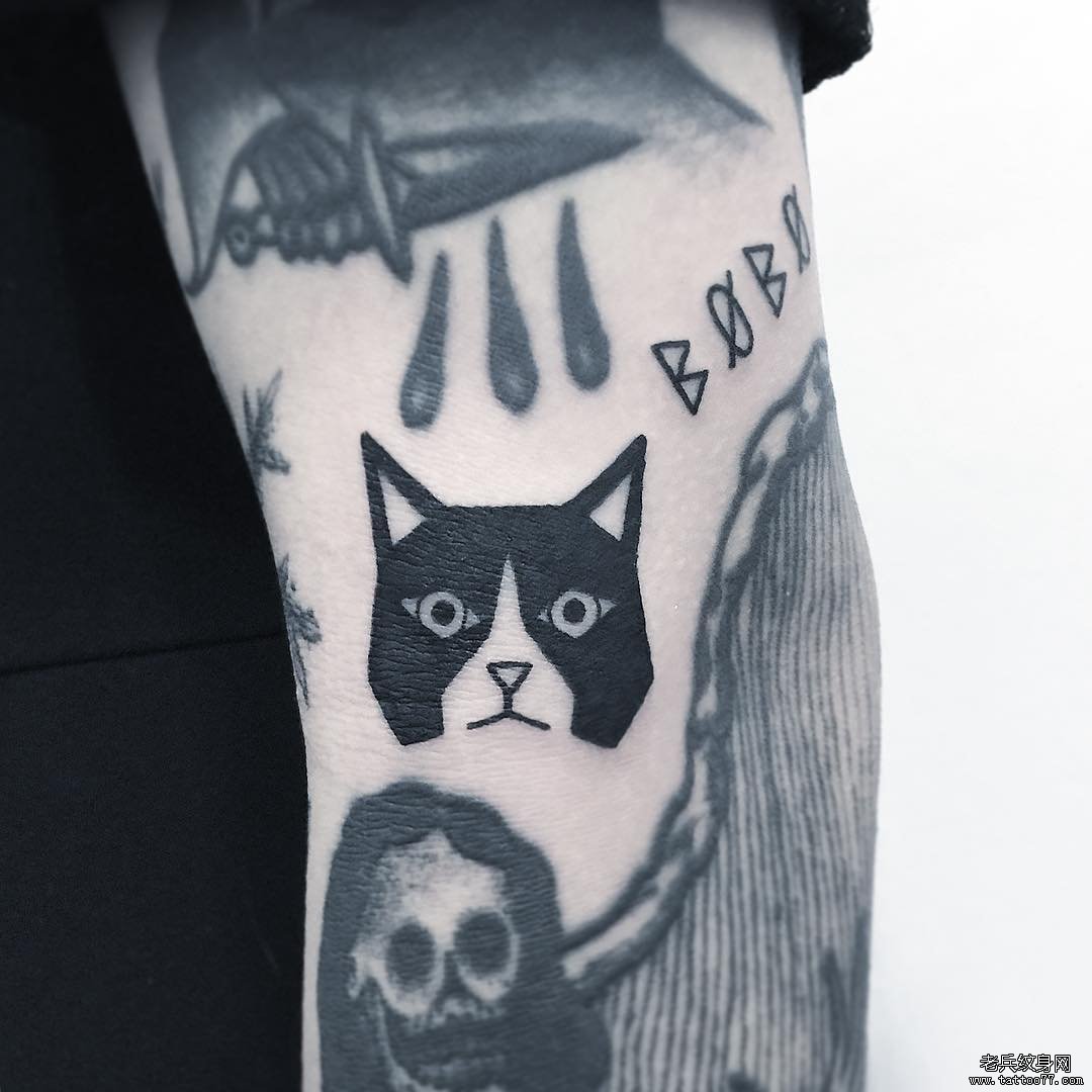 手臂猫咪纹身