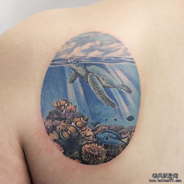肩膀彩色写实海龟纹身