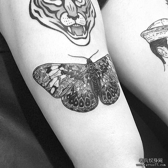 大腿个性蝴蝶纹身
